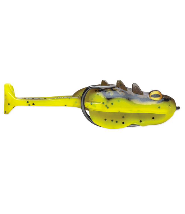 Storm Storm Surge Frog