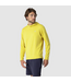 Outdoor Research Outdoor Research Men's ActiveIce Spectrum Sun Hoodie