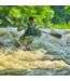 Aqua Bound Bending Branches Composite Horizon Carbon Shaft/Fiberglass Blade Croix - Paddle