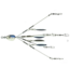 6th Sense Fishing 6th Sense Divine Umbrella Rig