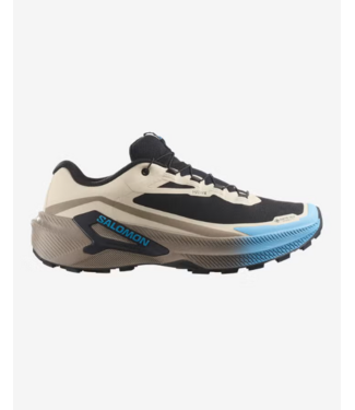 Salomon Salomon Men's Genesis 2 GoreTex Trail Running Shoe