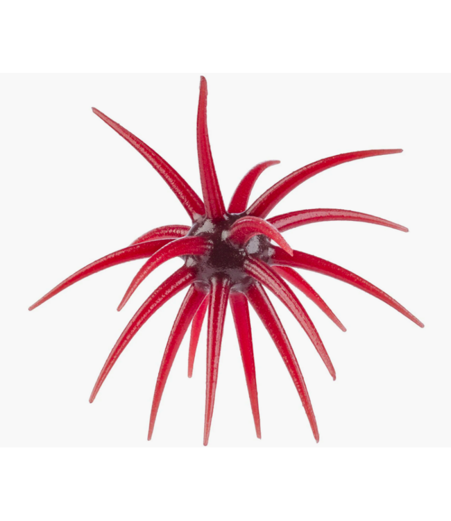 Berkley Berkley PowerBait MaxScent Moeba