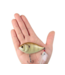 Berkley Berkley SlapGill
