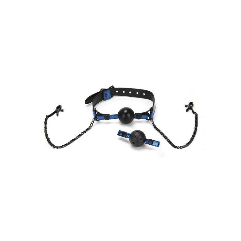 WHIPSMART DIAMOND BALL GAG W NIPPLE CLIPS