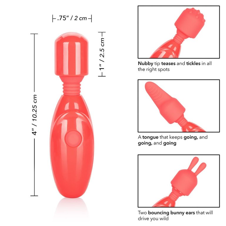 CALIFORNIA EXOTIC RECHARGEABLE MASSAGER KIT
