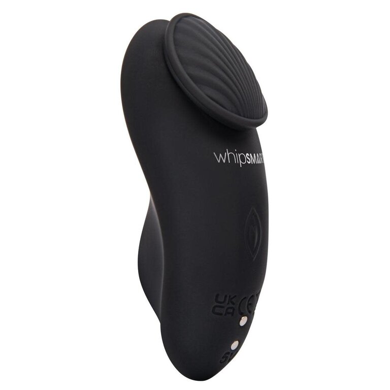 WHIPSMART WS RECHARGE REMOTE CONTROL PANTY VIBE