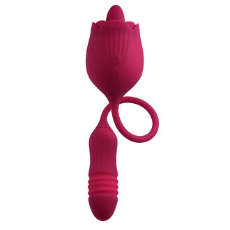 ENVOLVED NOVELTIES EVOLVED WILD ROSE