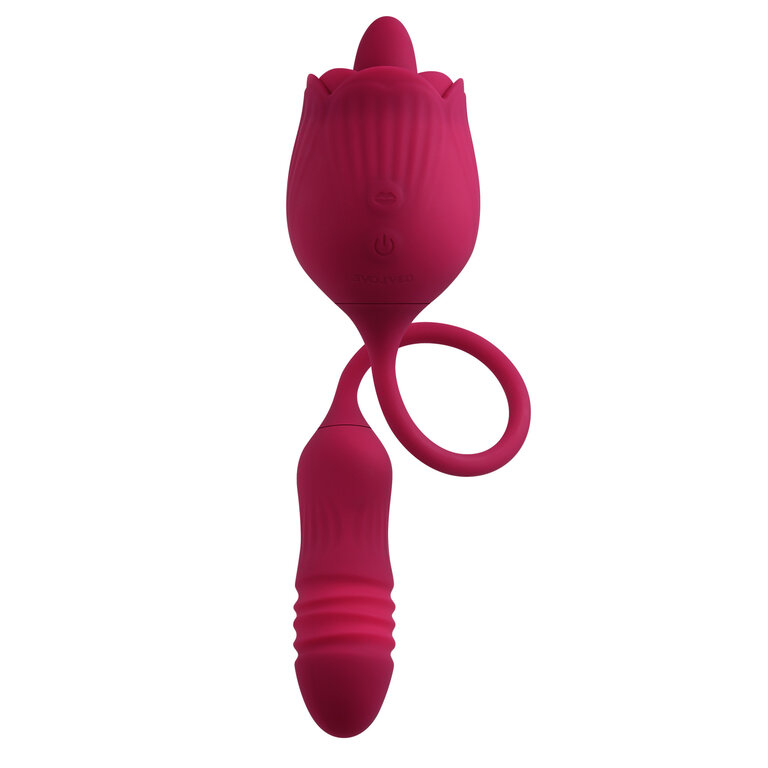 ENVOLVED NOVELTIES EVOLVED WILD ROSE