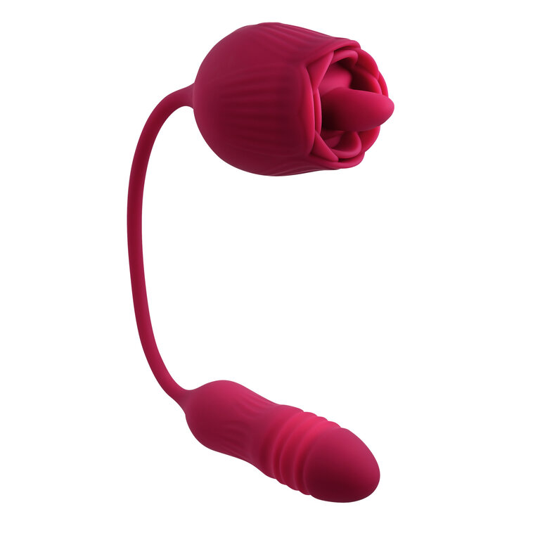 ENVOLVED NOVELTIES EVOLVED WILD ROSE