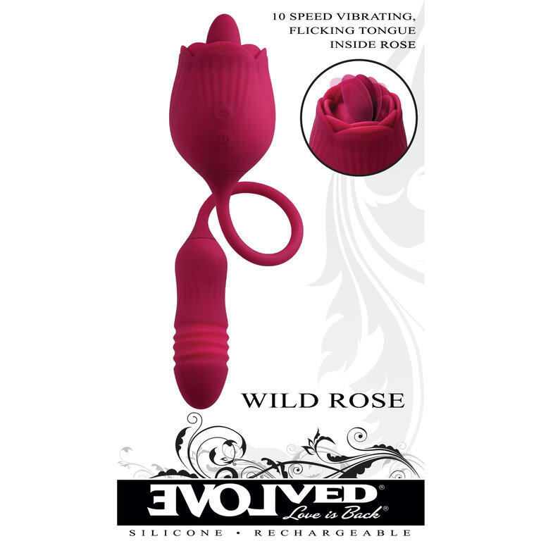 ENVOLVED NOVELTIES EVOLVED WILD ROSE