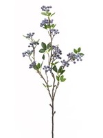 melrose Blueberry Stem 40"H