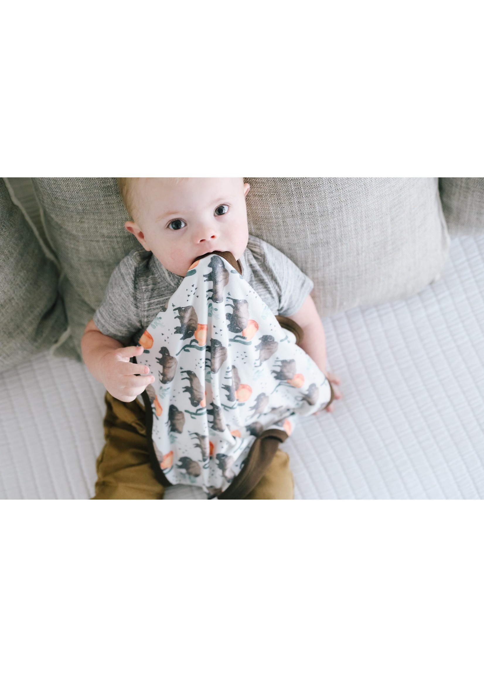Security Blanket Bison Elleb Gifts Security Blanket Bison Elleb Gifts