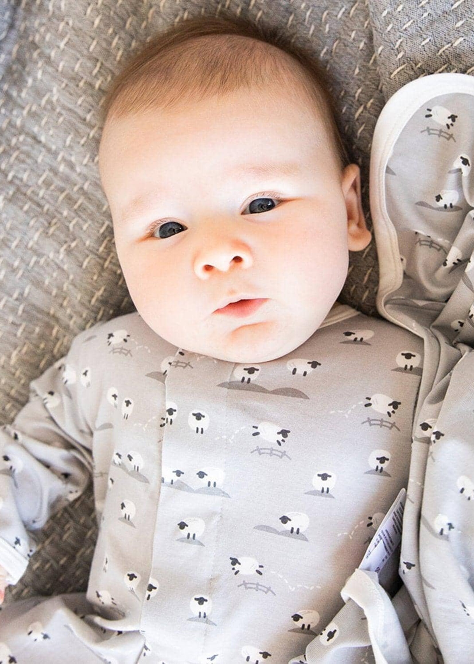 magnetic me Baa Baa Baby Gray Blanket