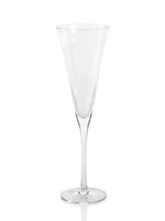 Zodax Stella Optic Champagne Flute