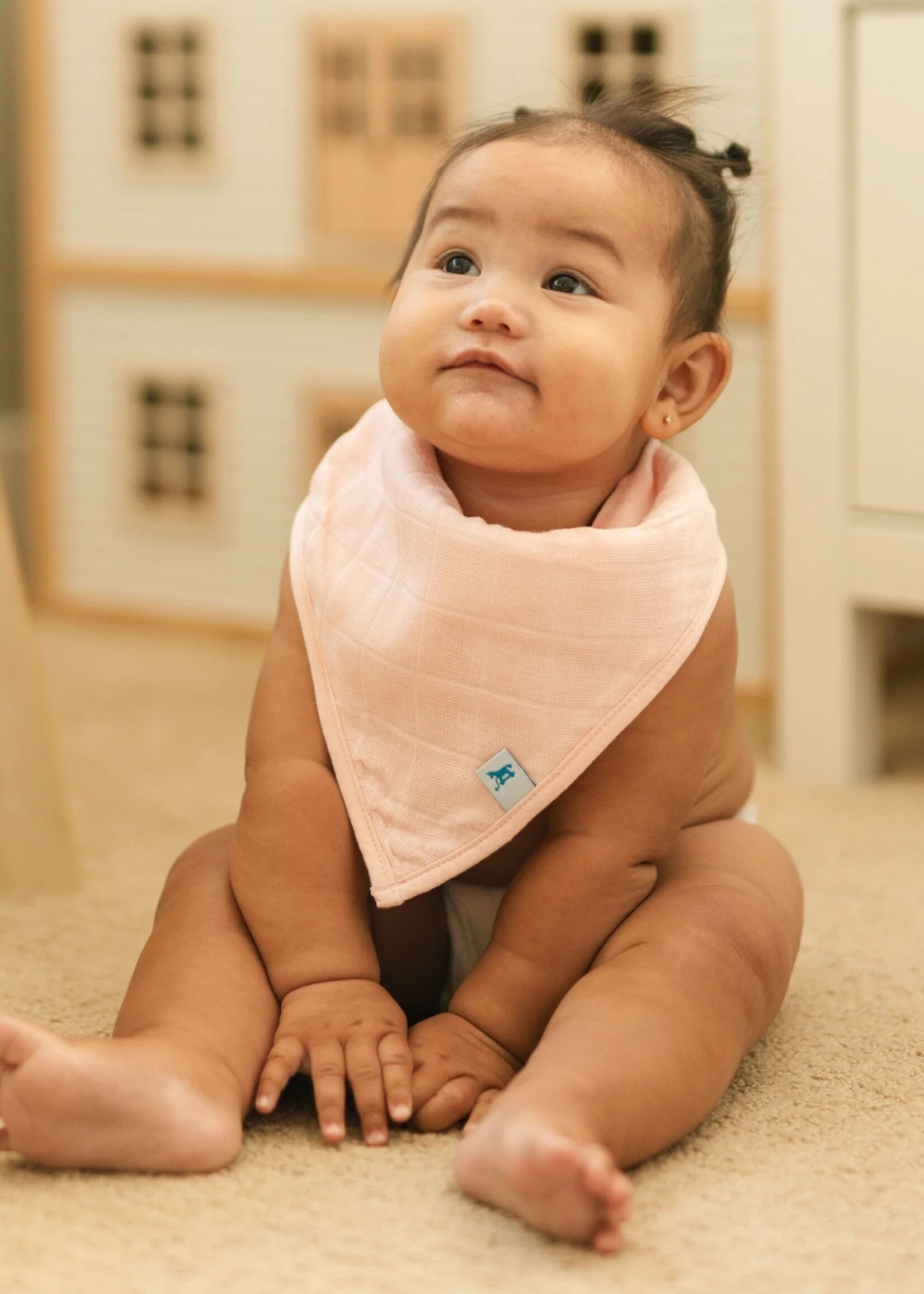 Little Unicorn Cotton Muslin & Fleece Bandana Bib 4 Pack - Watercolor Roses