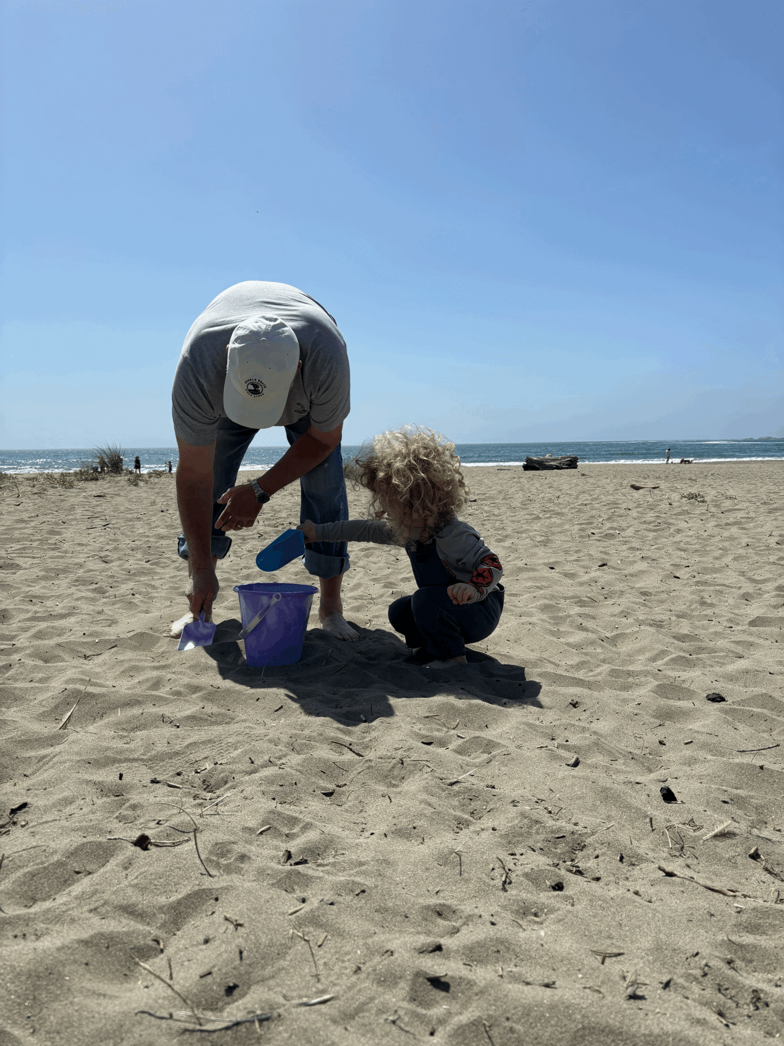 bodega bay