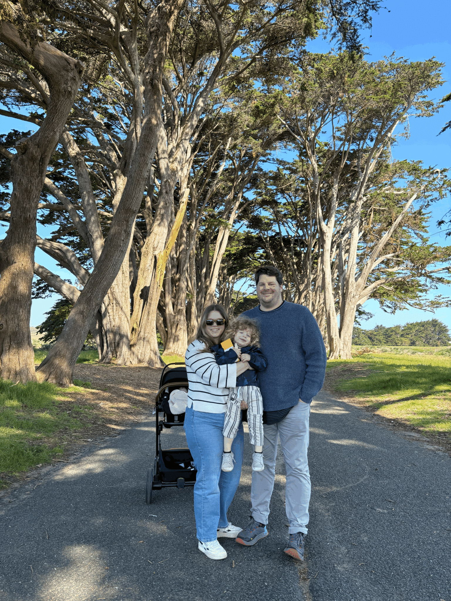 cypress point reyes
