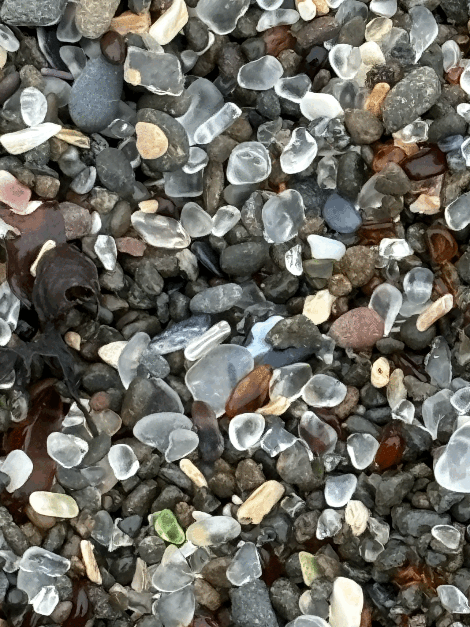 glass beach