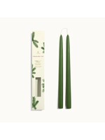 Frasier Fir 12" Taper Candle Set