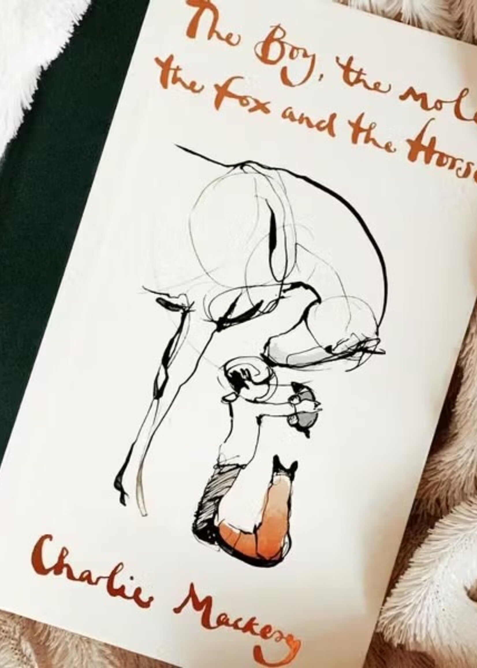 HarperCollins Publishing The Boy, The Mole, The Fox and the Horse