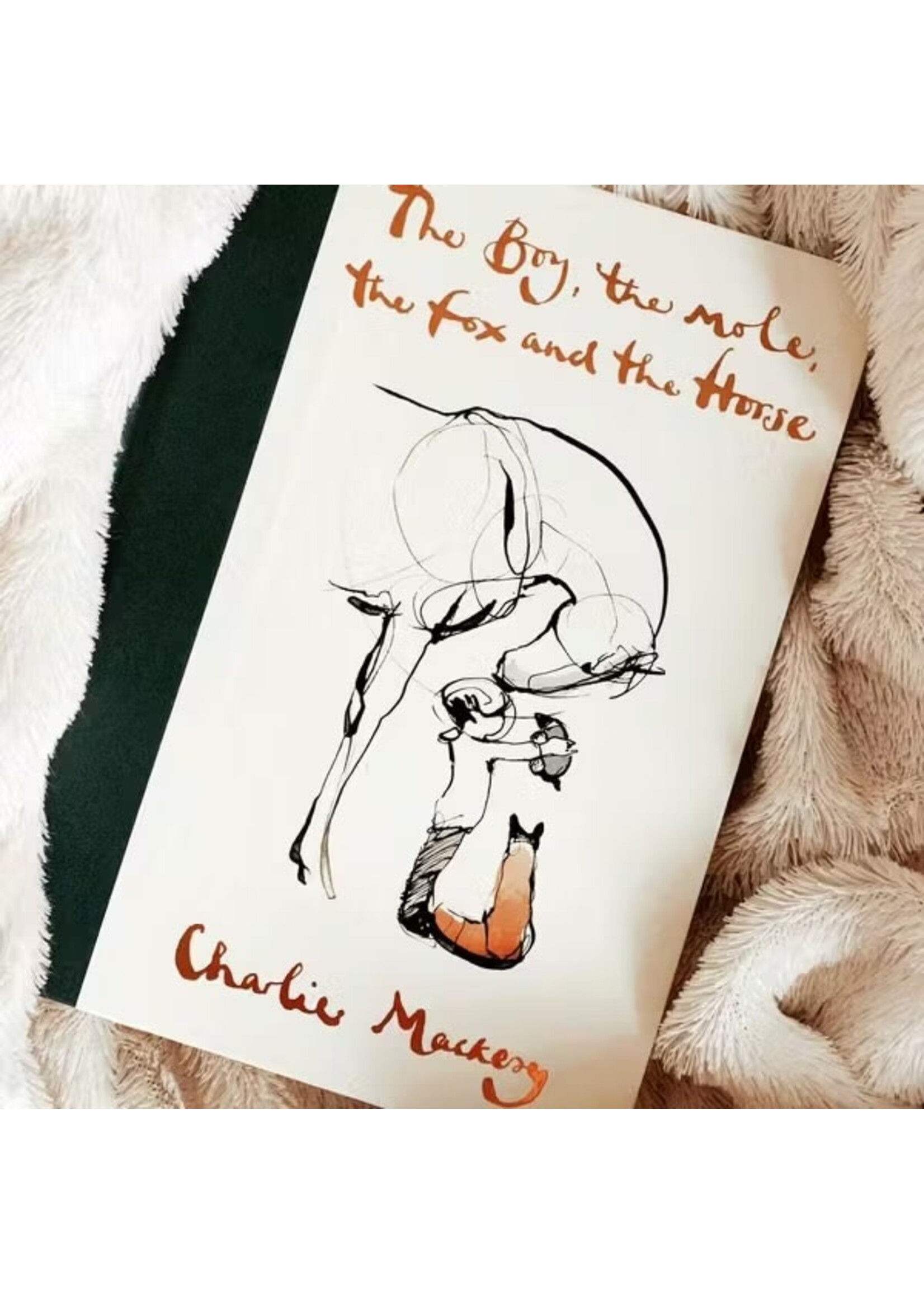 HarperCollins Publishing The Boy, The Mole, The Fox and the Horse