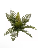 Raz Imports Fern Pick