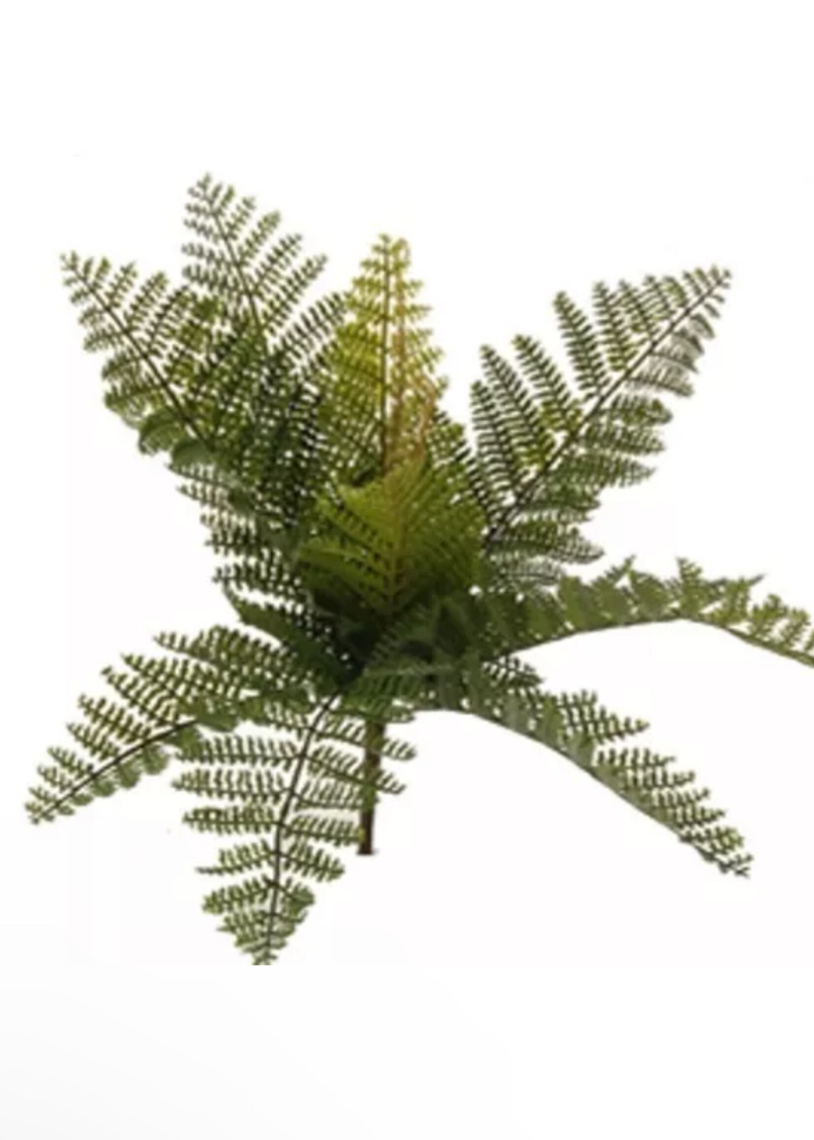 Raz Imports Fern Pick
