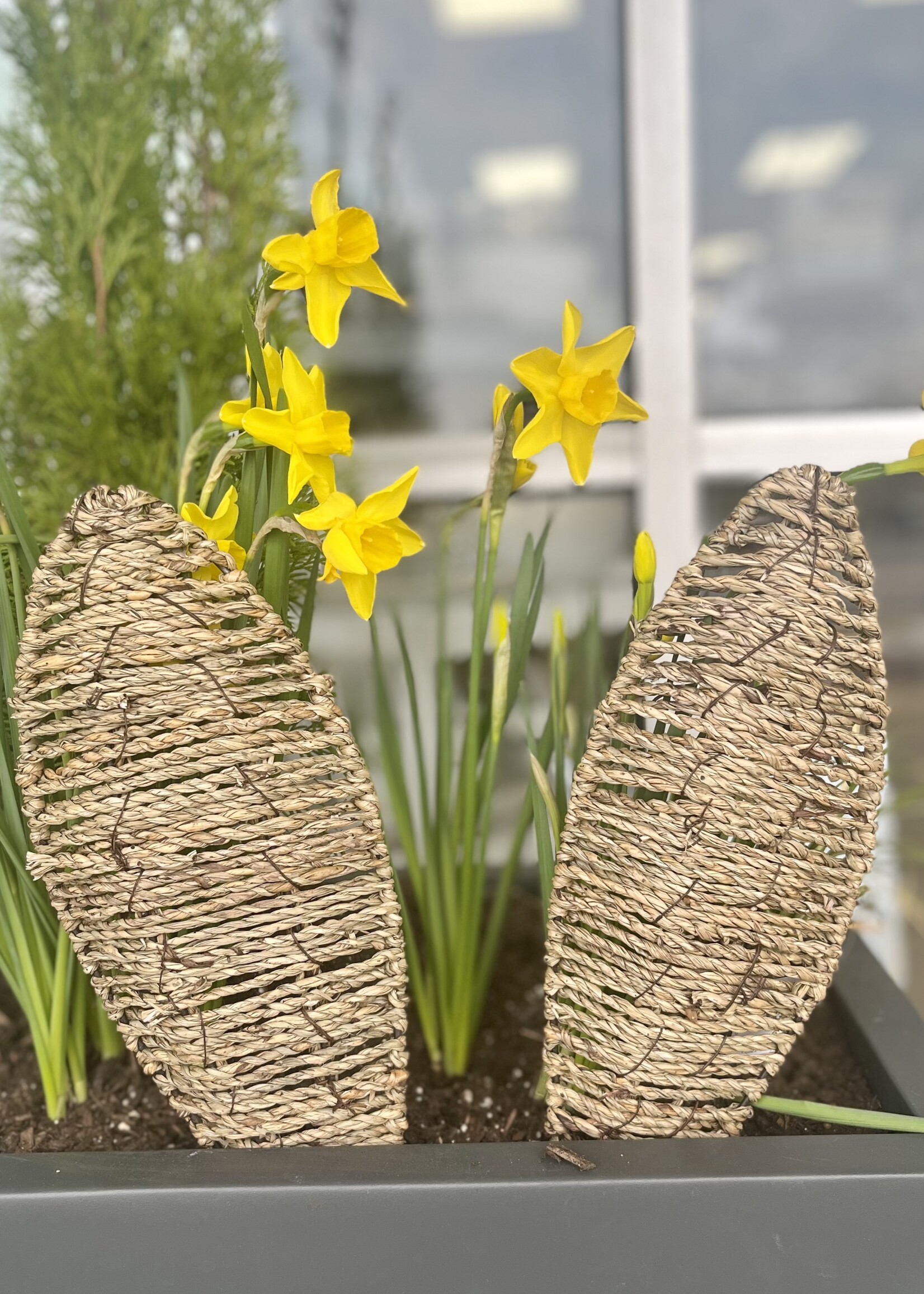 Raz Imports Woven Bunny Ear Stakes