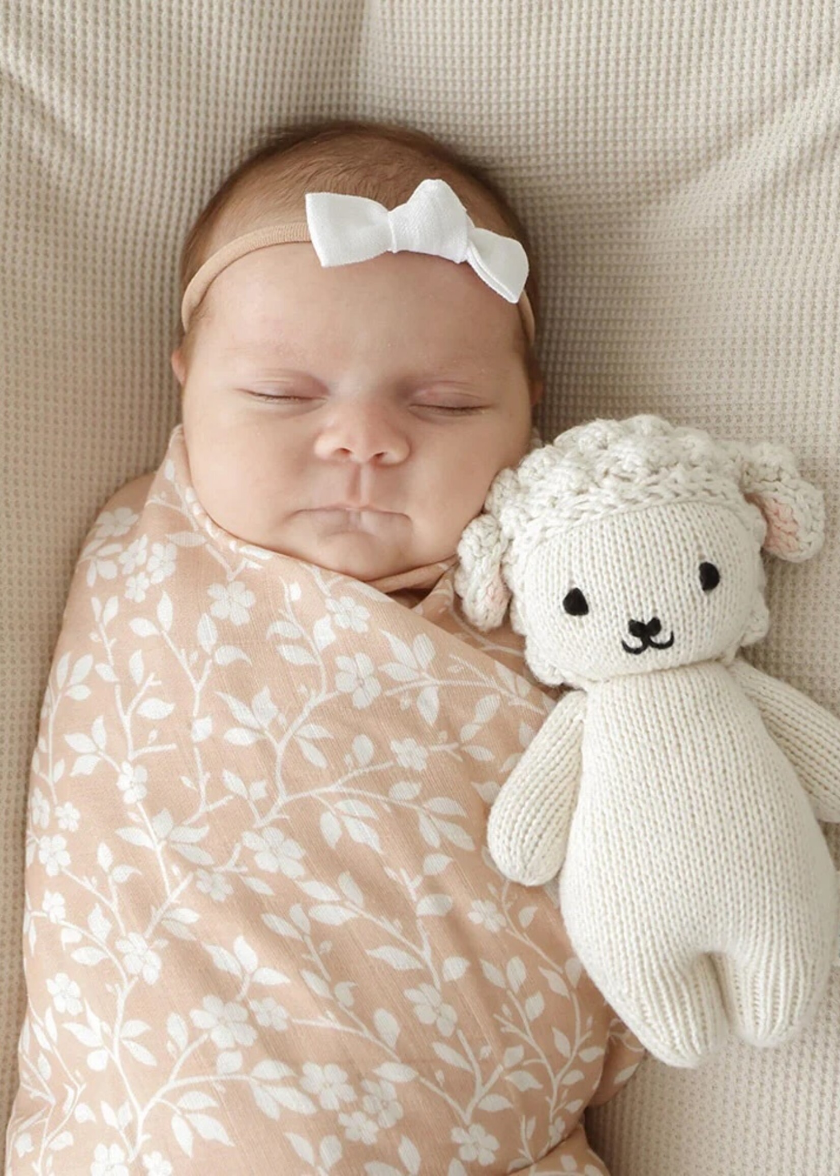 cuddle + kind Baby Lamb