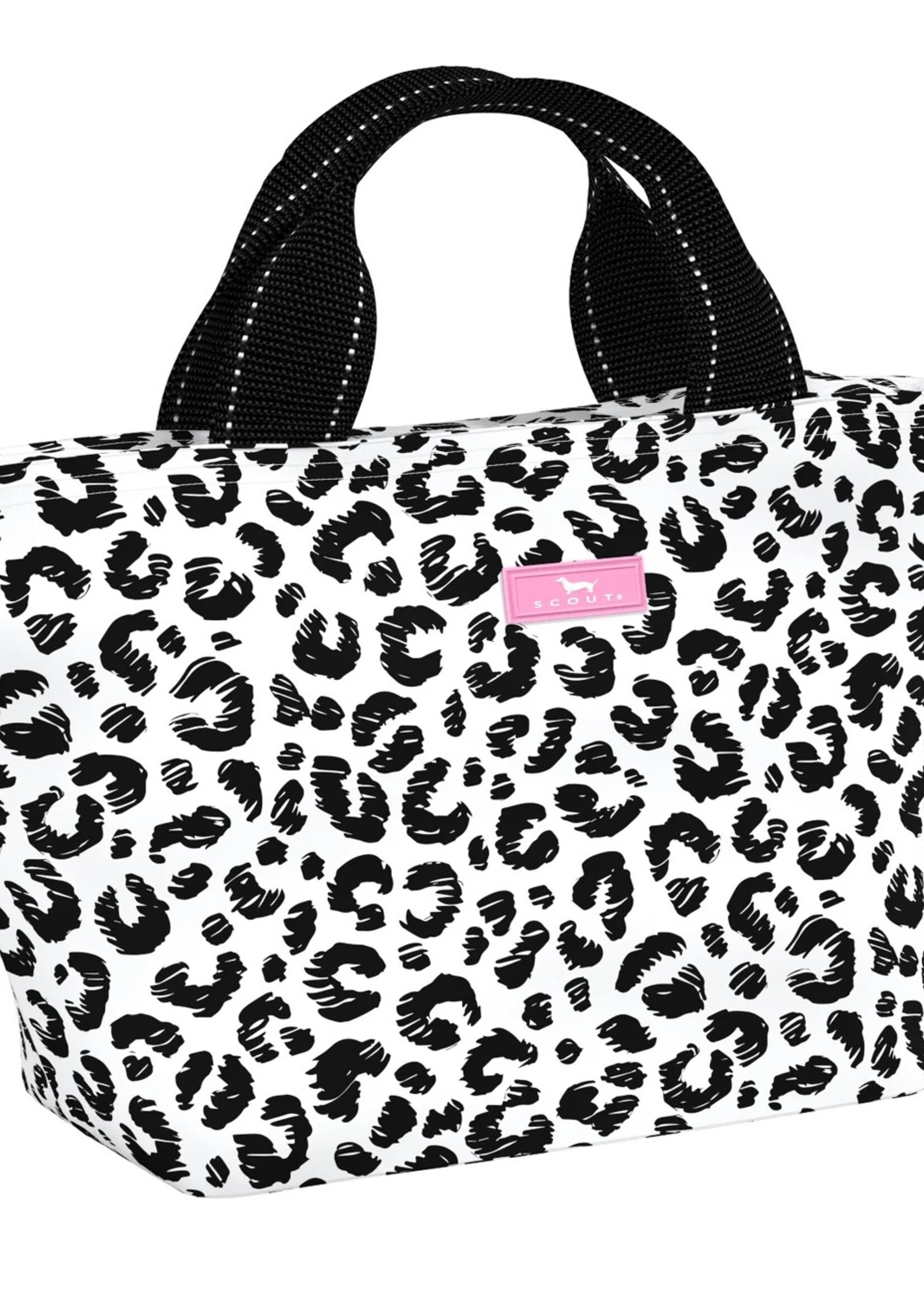 scout by bungalow Scout Nooner Cat Skills