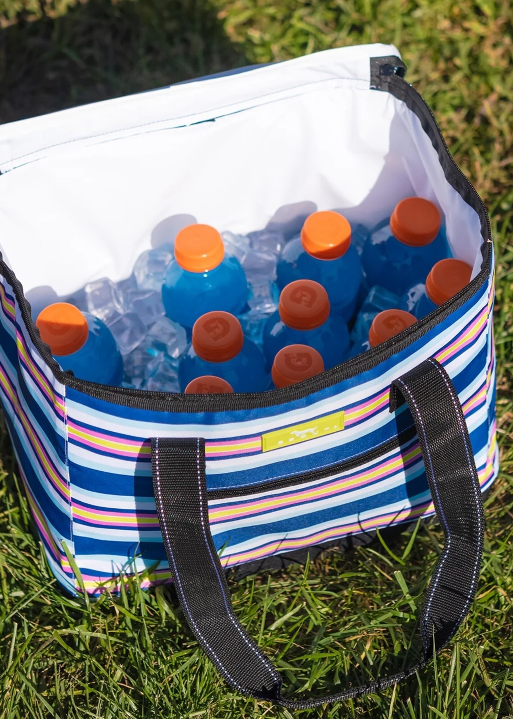 scout by bungalow Scout The Stiff One Fall in Line