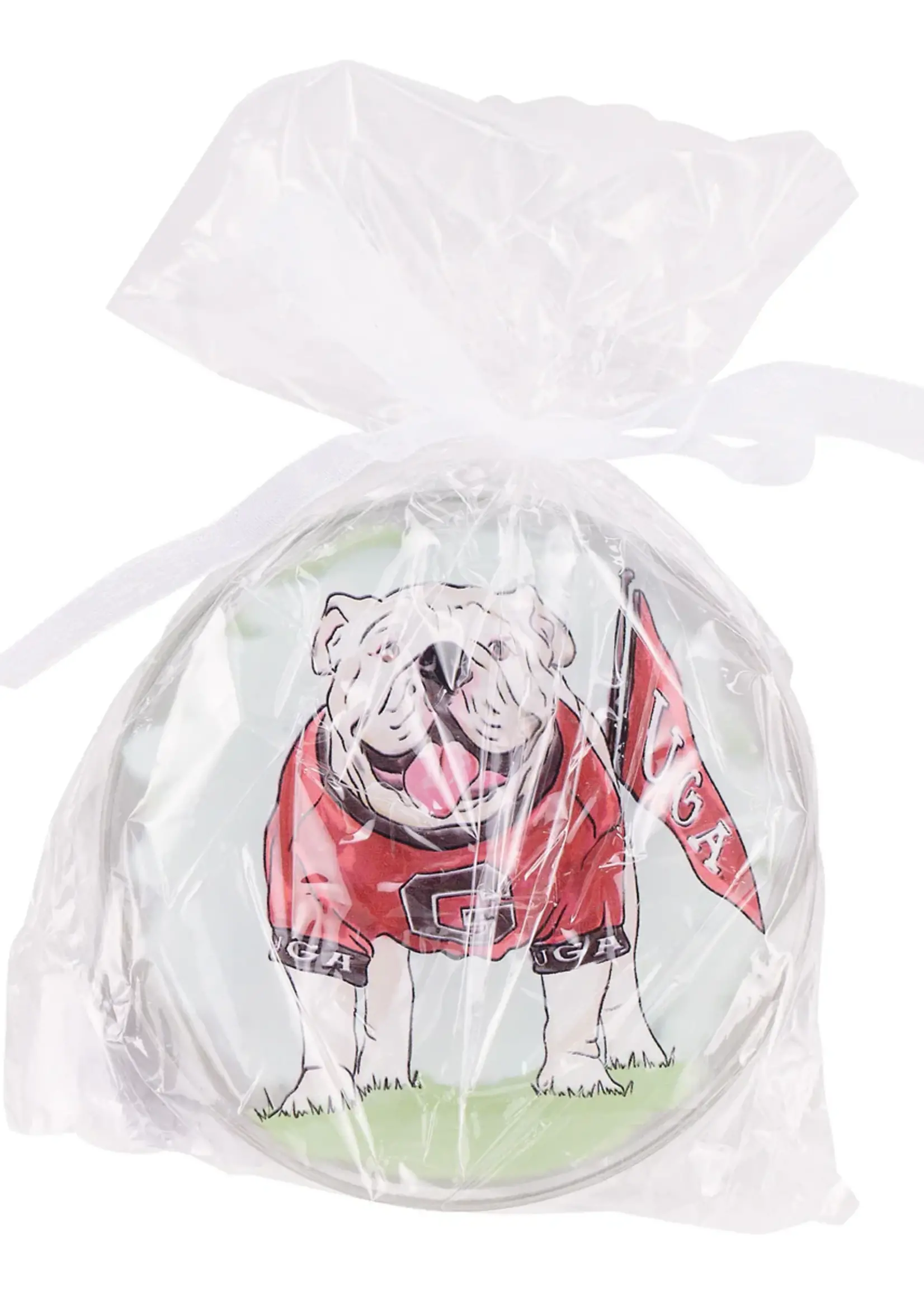 Glory Haus UGA Coasters Set of 4