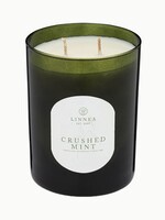 linnea Crushed Mint Large Candle