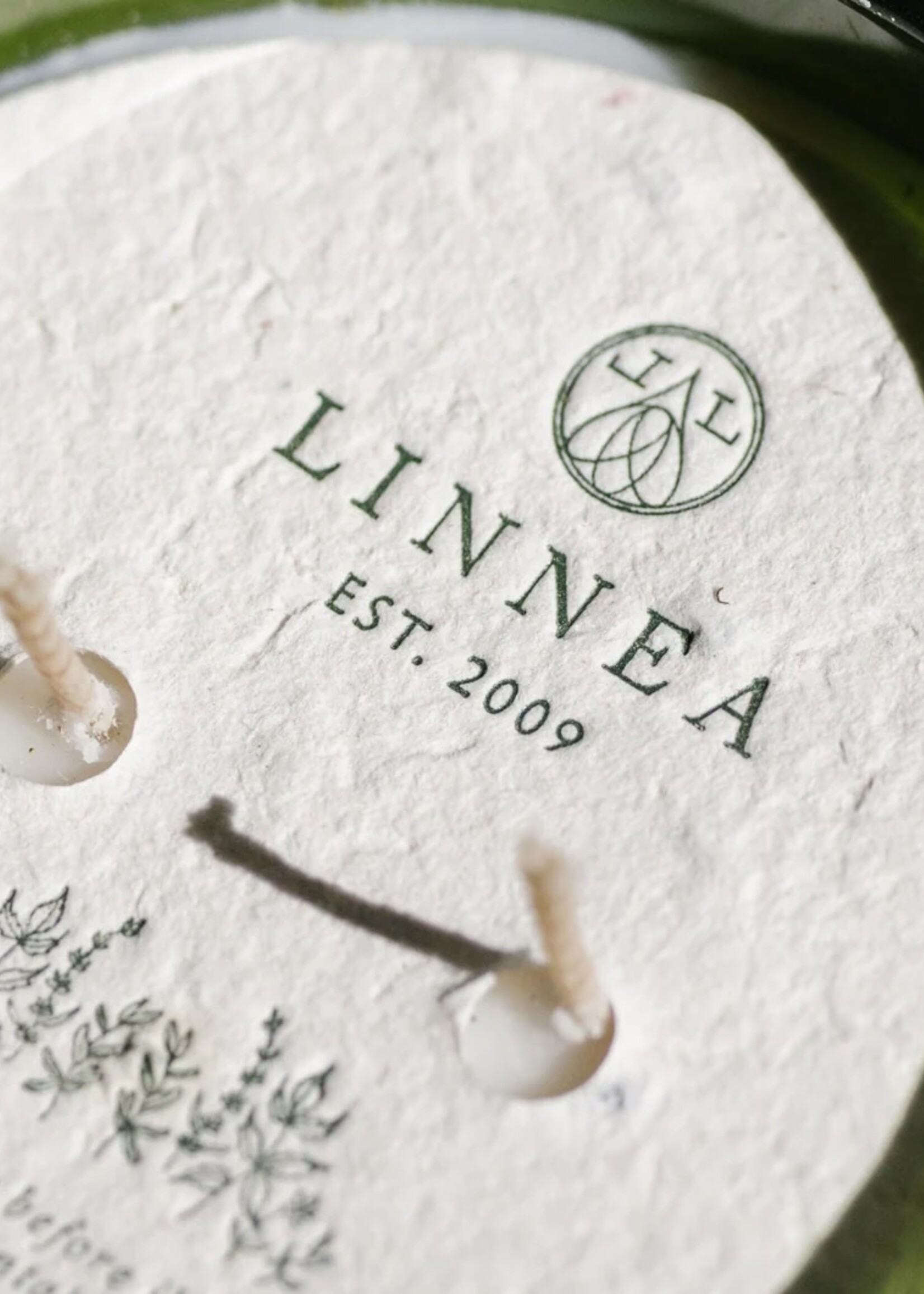 linnea Crushed Mint Large Candle