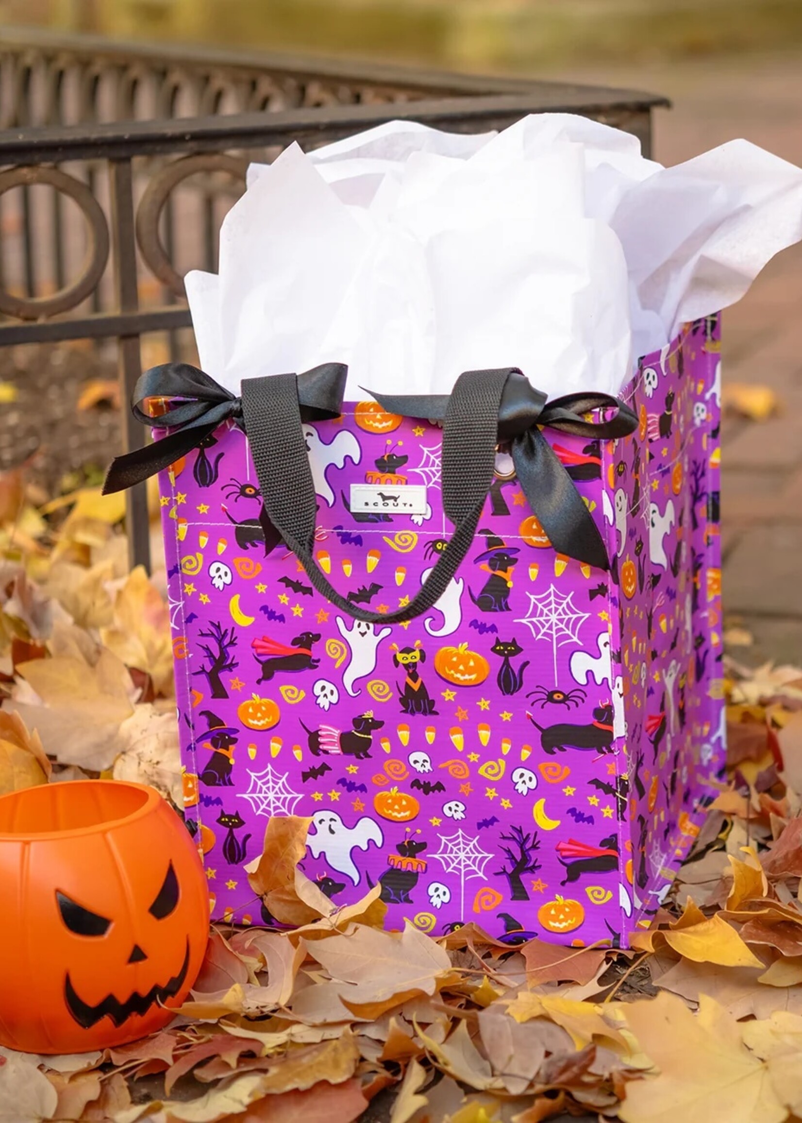 scout by bungalow Scout Midi Package Howl O Weenie