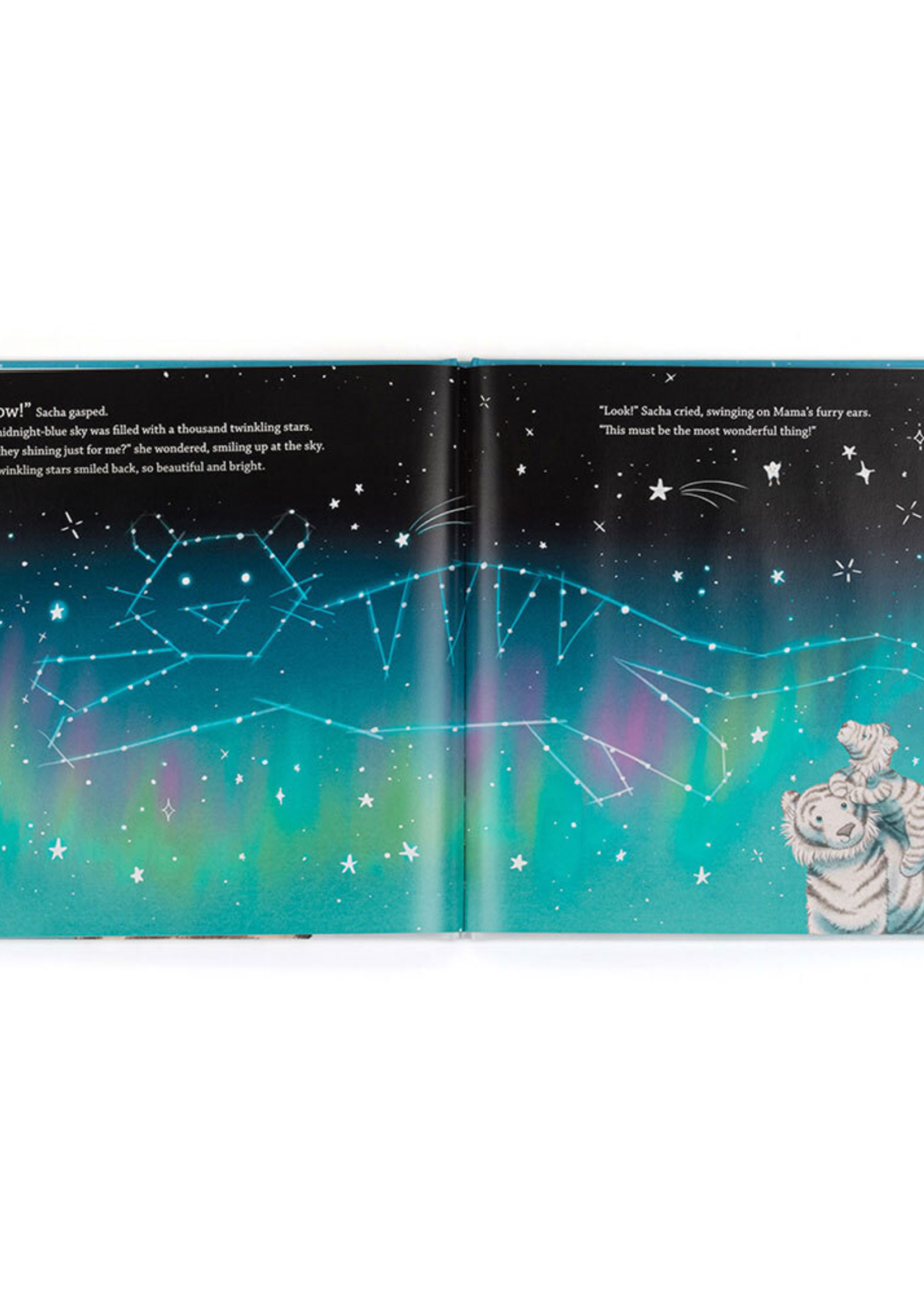 Jellycat Sacha And The Most Wonderful Thing Book