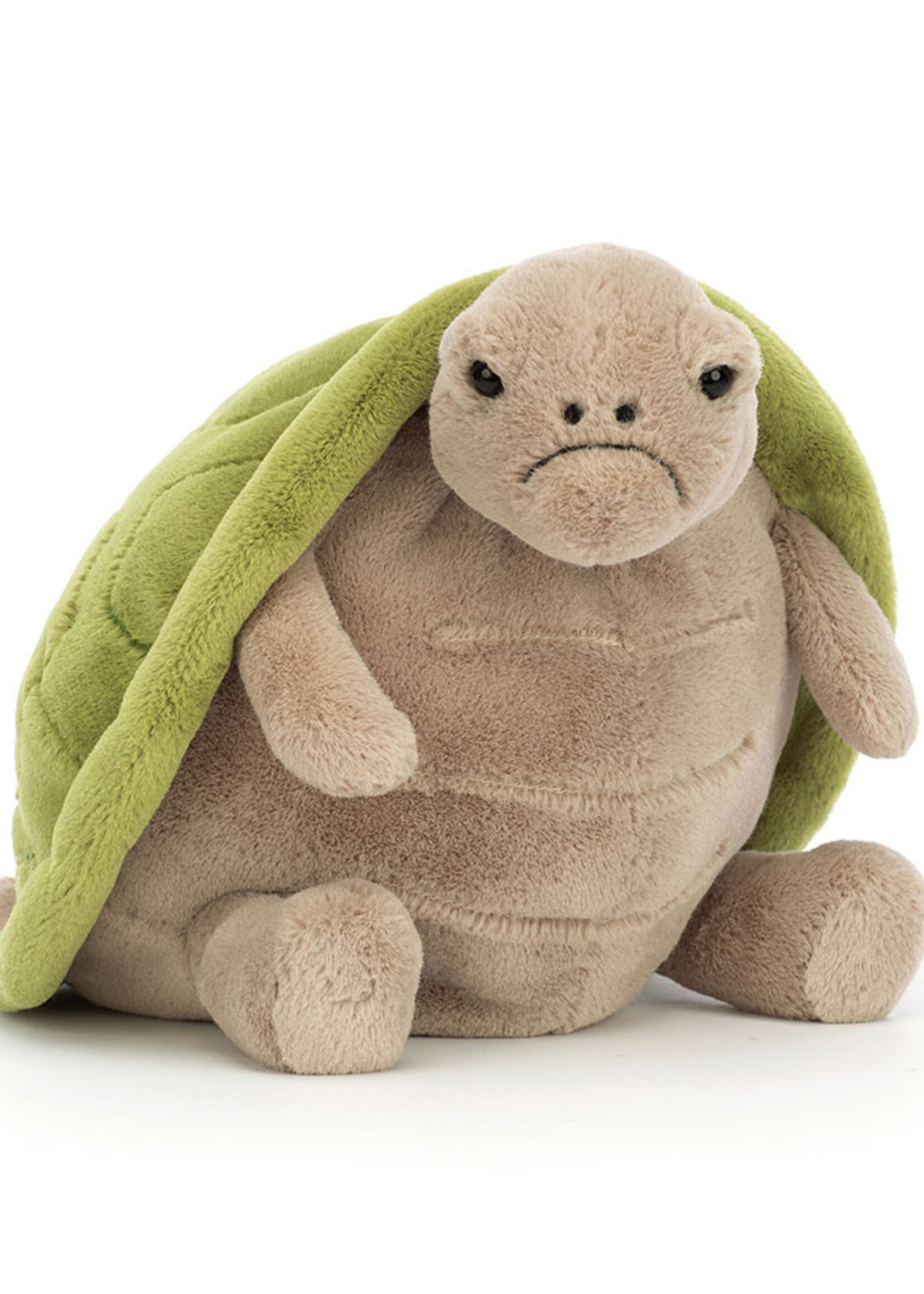 Timmy Turtle (Medium)