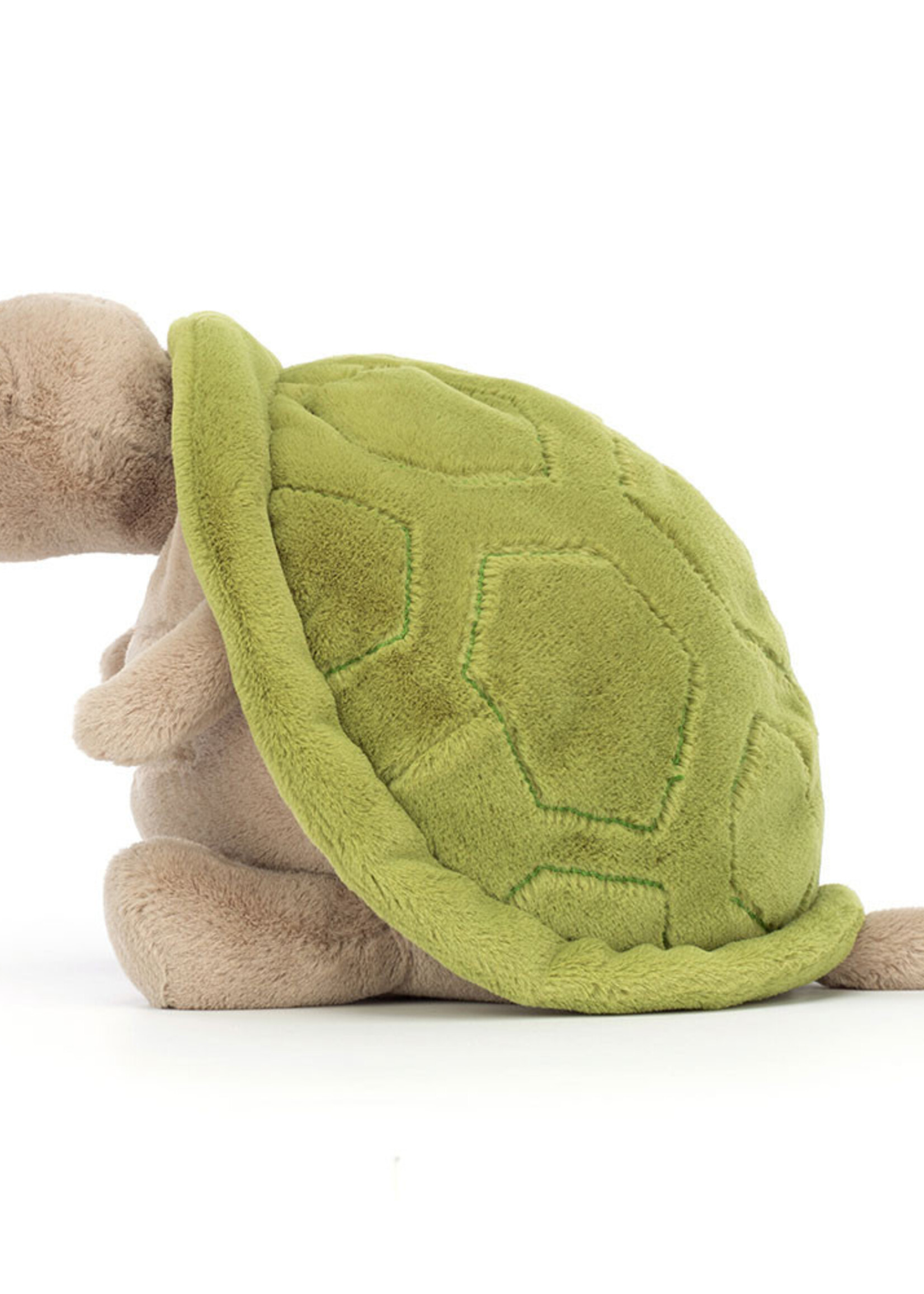 Timmy Turtle (Medium)