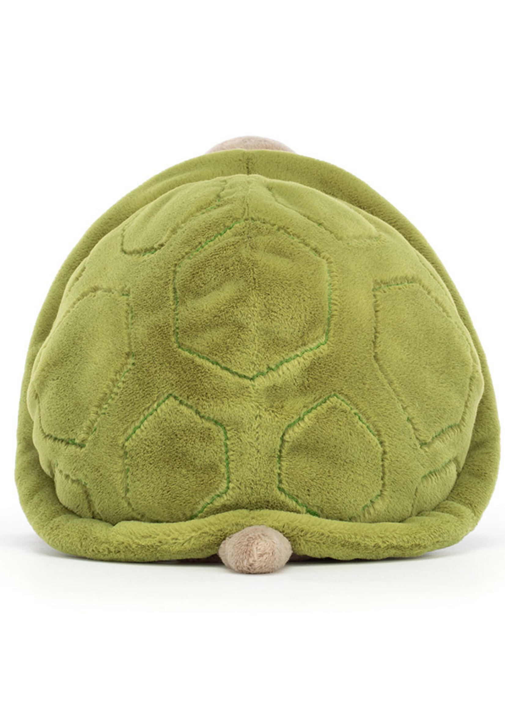 Timmy Turtle (Medium)