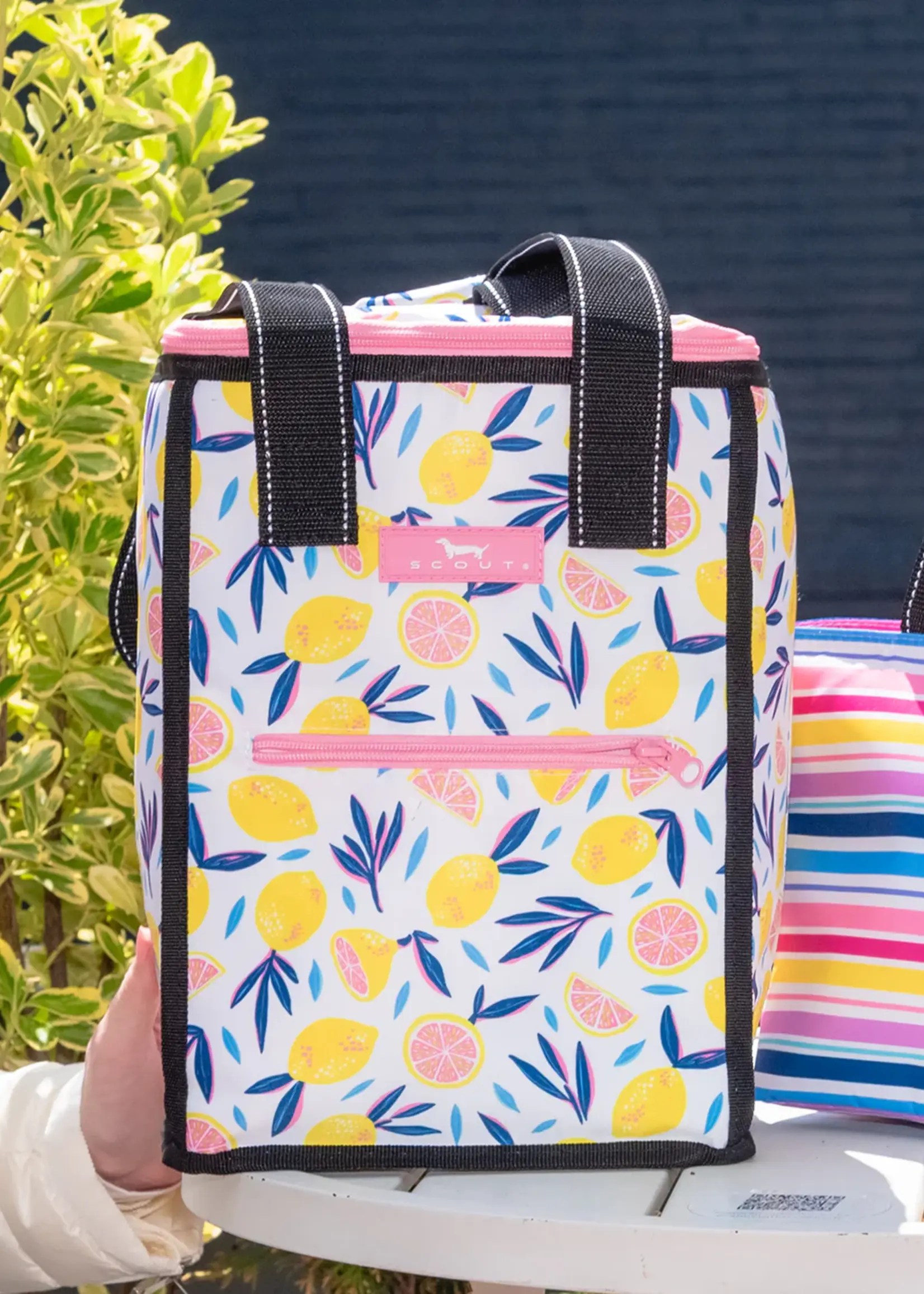 scout by bungalow Scout Pleasure Chest Zest in Show