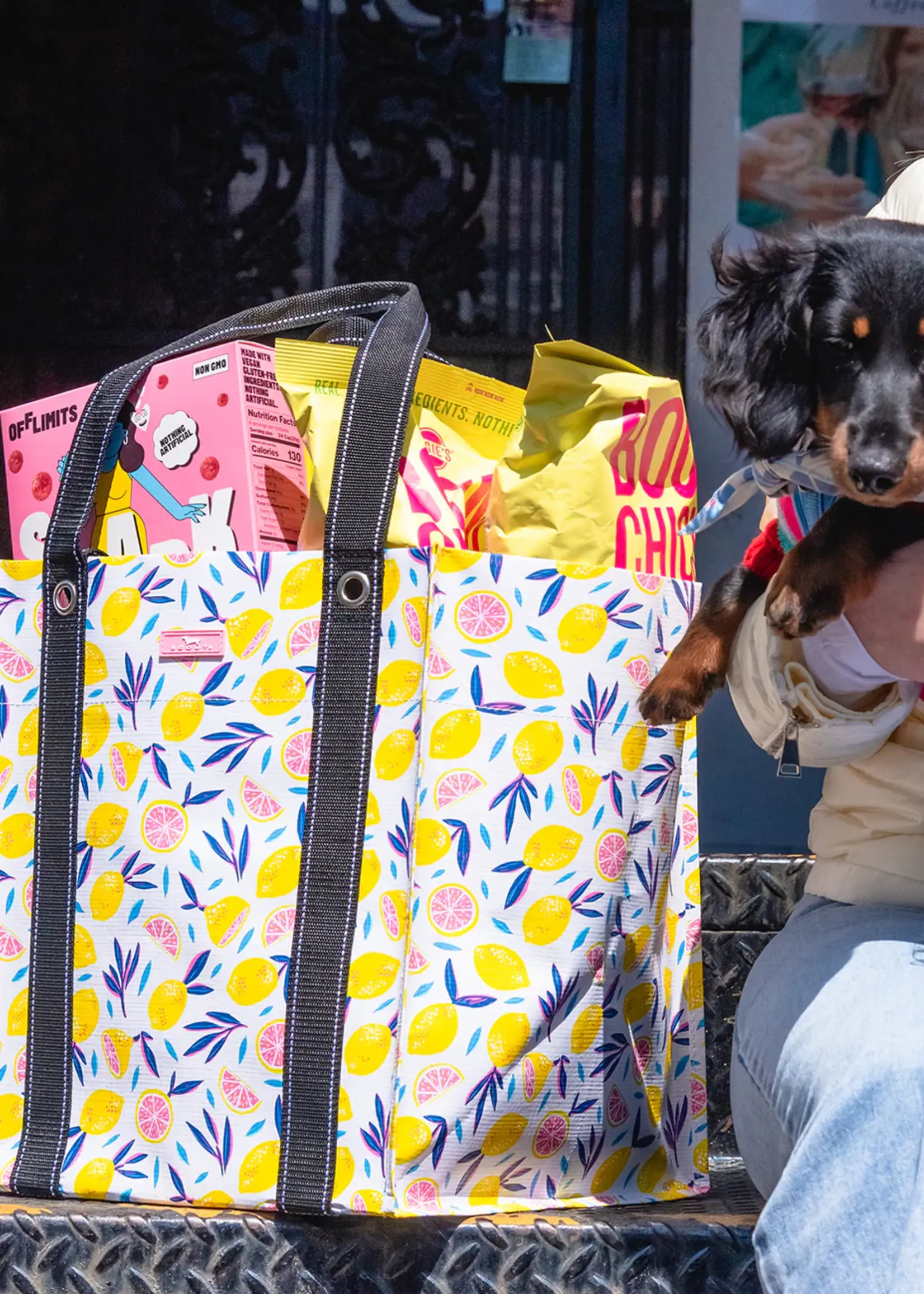 scout by bungalow Scout Bagette Zest in Show