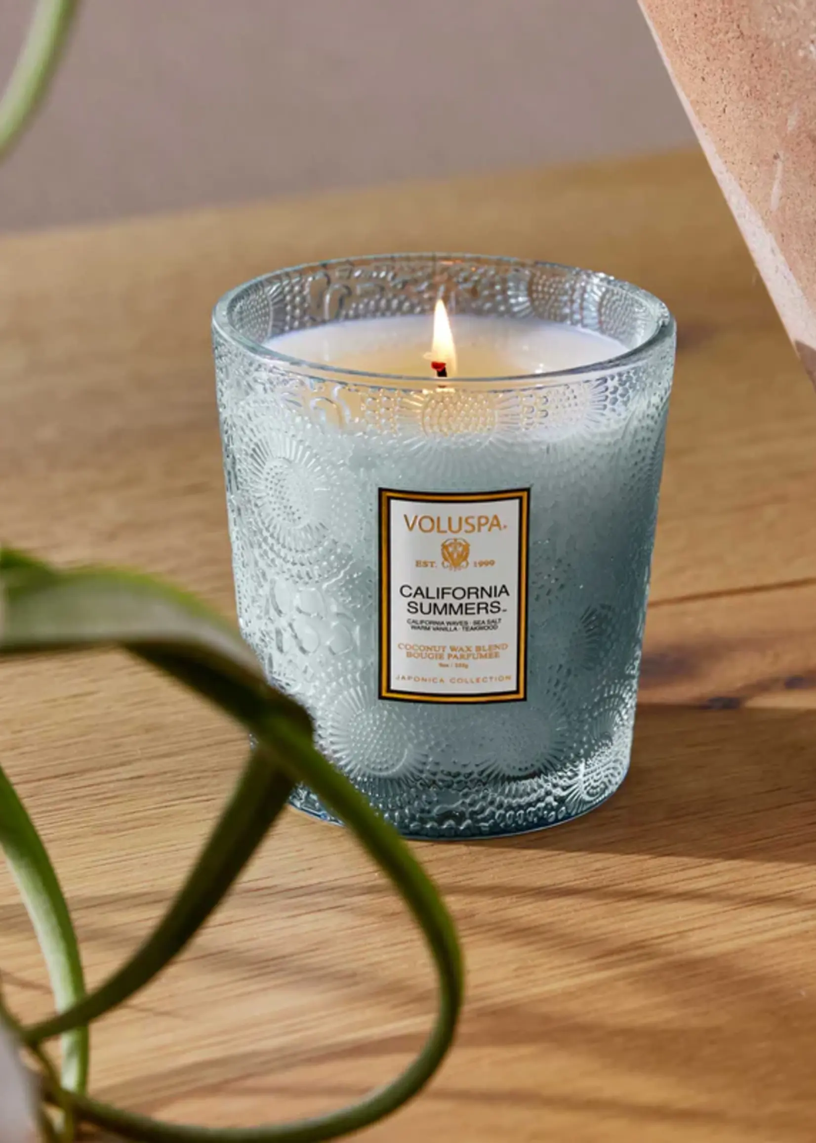 voluspa Voluspa California Summers 9oz Classic Candle