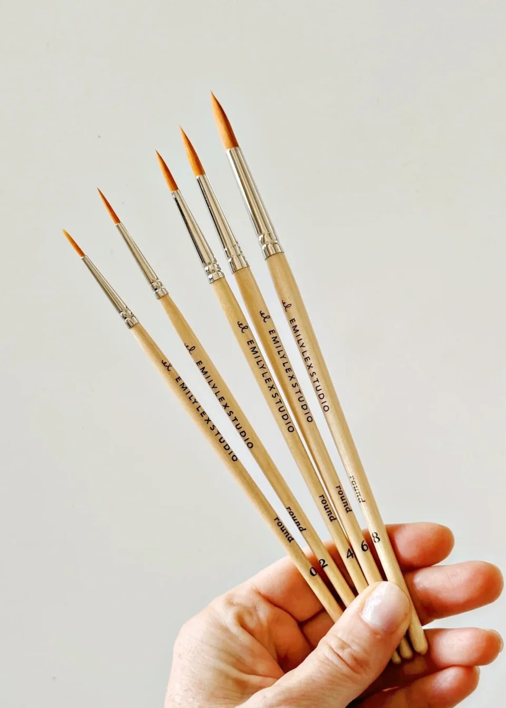 emily lex studio Emily Lex Paintbrush Set of 5
