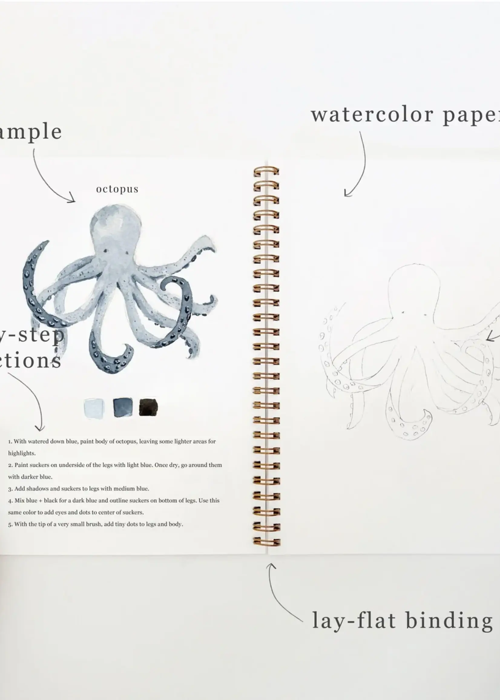 emily lex studio Emily Lex Seaside Watercolor Workbook