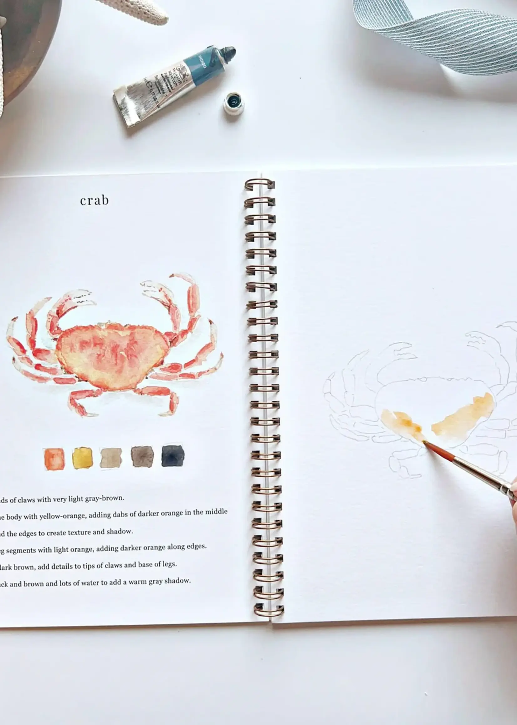 emily lex studio Emily Lex Seaside Watercolor Workbook