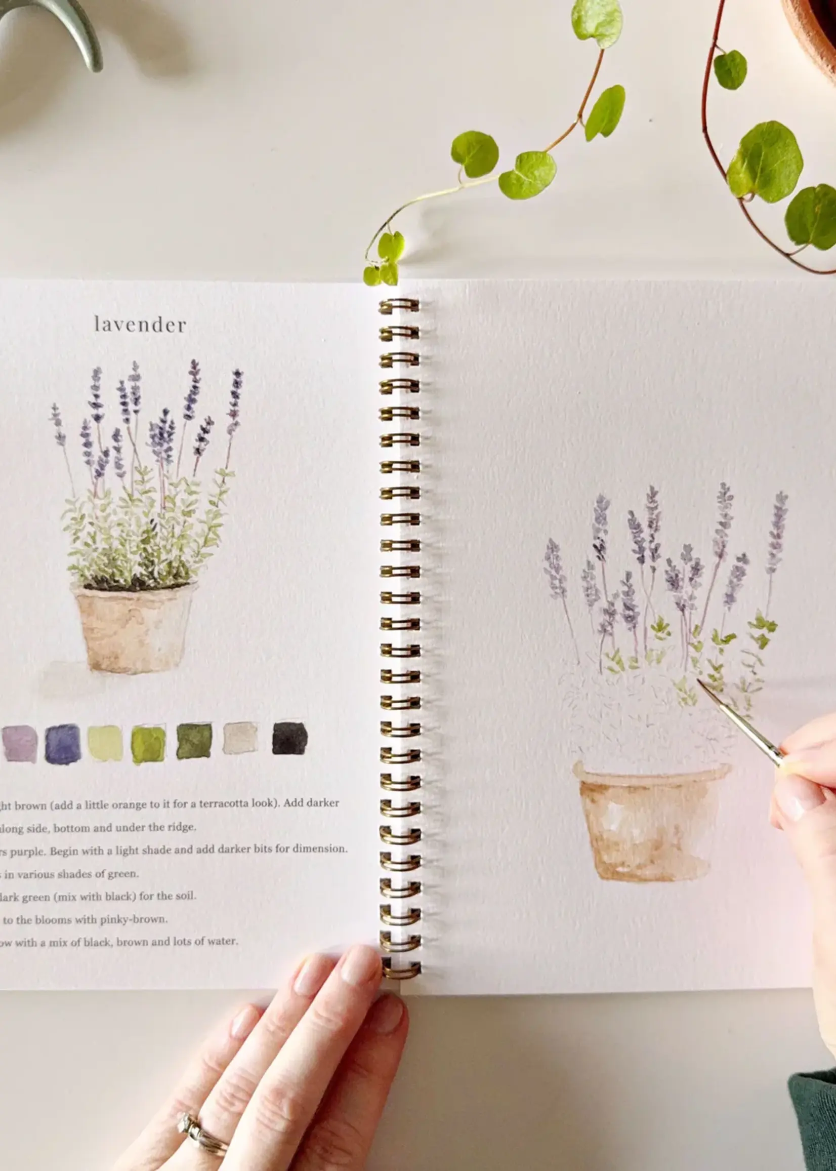 emily lex studio Emily Lex Garden Watercolor Workbook