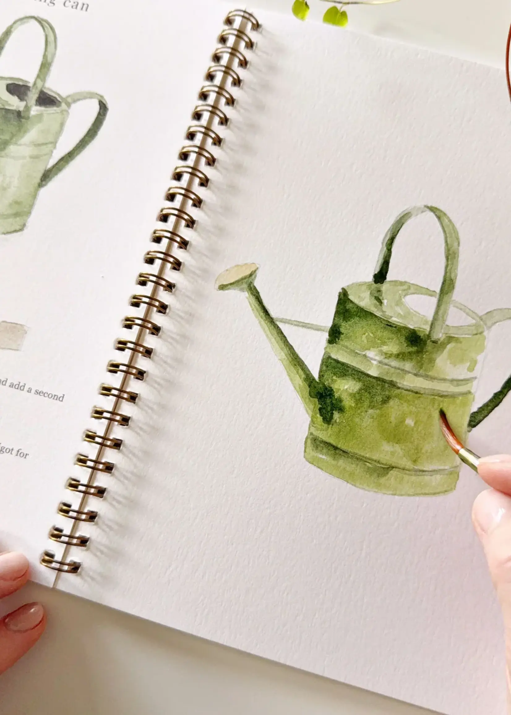 emily lex studio Emily Lex Garden Watercolor Workbook