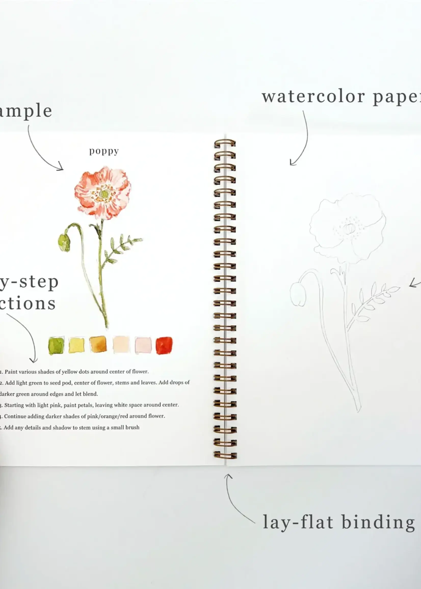 emily lex studio Emily Lex Flowers Watercolor Workbook