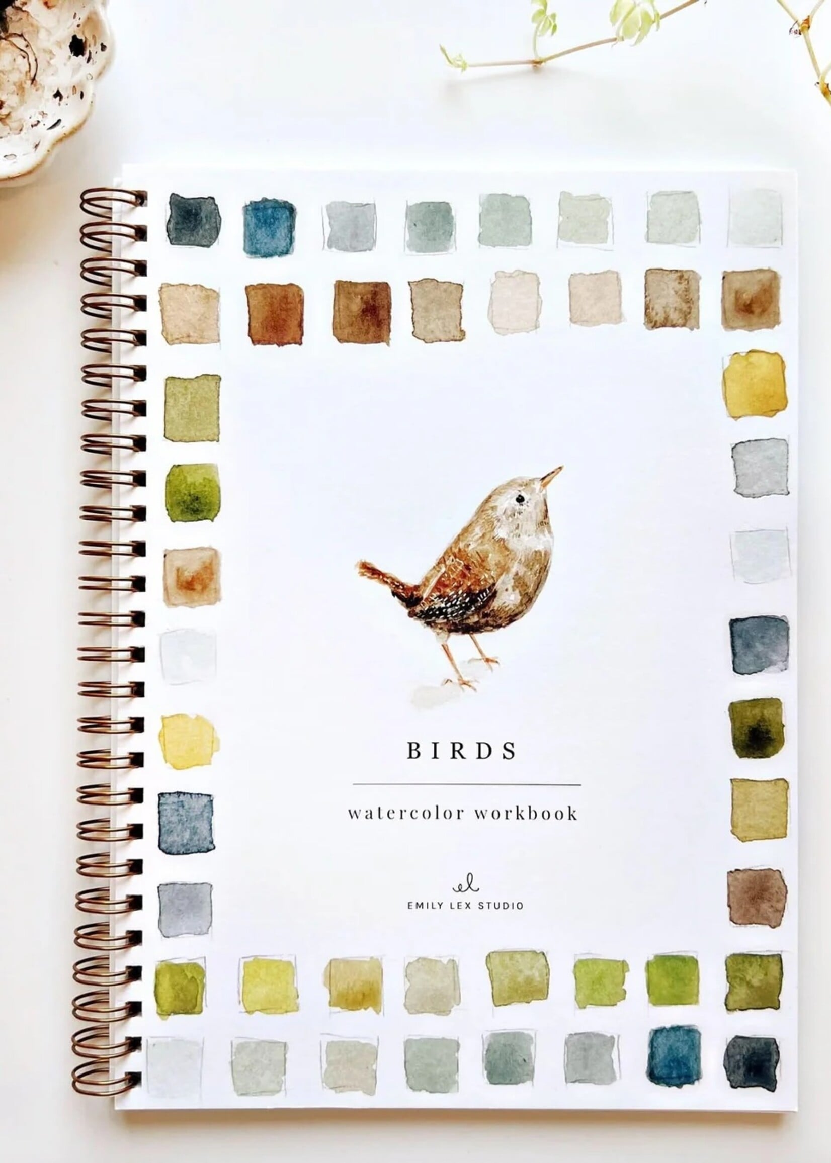 emily lex studio Emily Lex Birds Watercolor Workbook