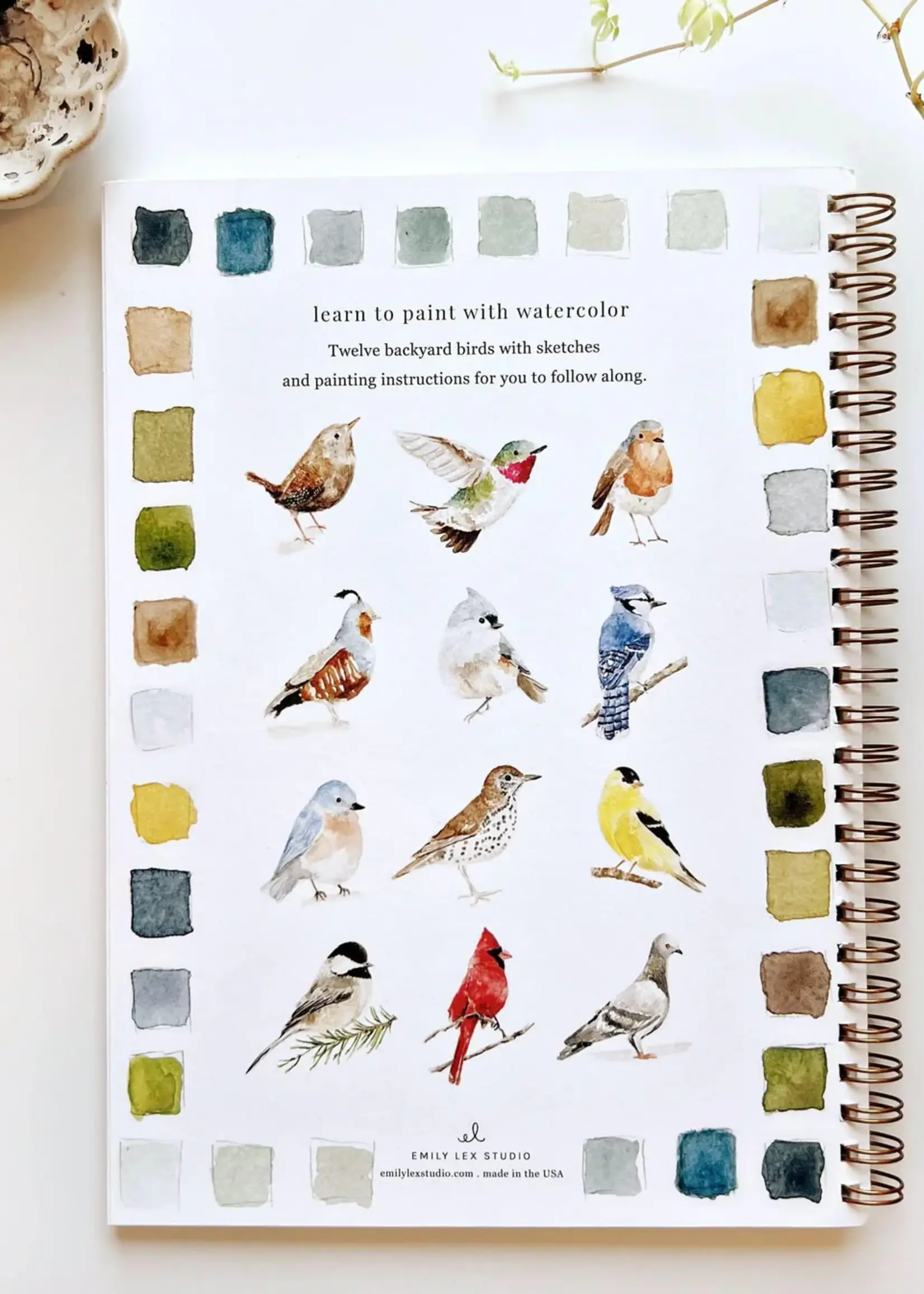 emily lex studio Emily Lex Birds Watercolor Workbook
